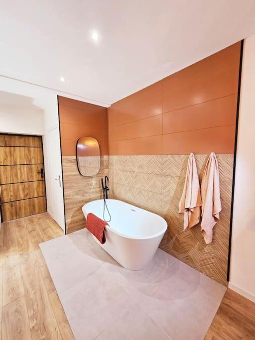 Appartement Parentale Avec Parking Albi