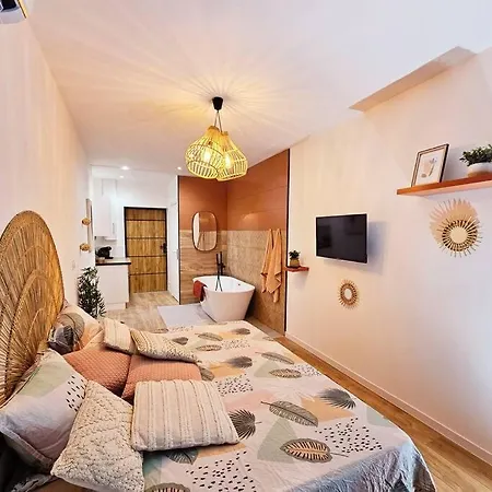 Suite Parentale Avec Parking Albi Buitenkant foto