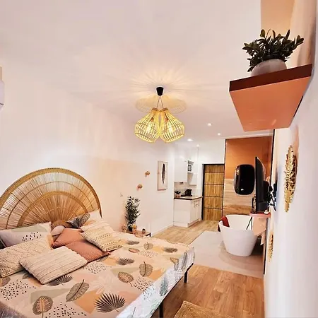 Suite Parentale Avec Parking Albi Buitenkant foto
